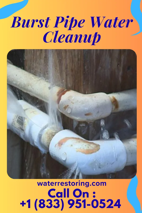 Burst Pipe Water Cleanup in Lawton, ND