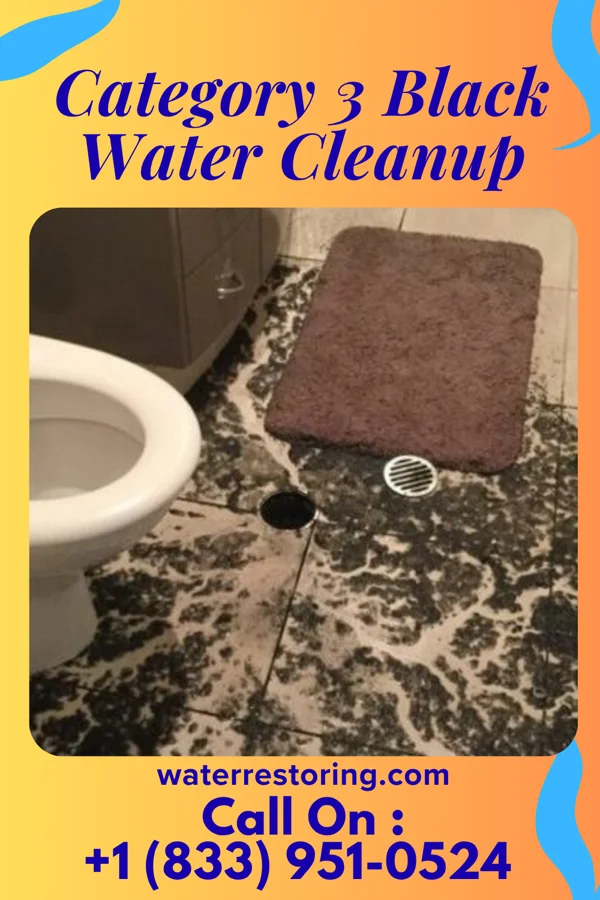 Category 3 Black Water Cleanup in Lawton, ND